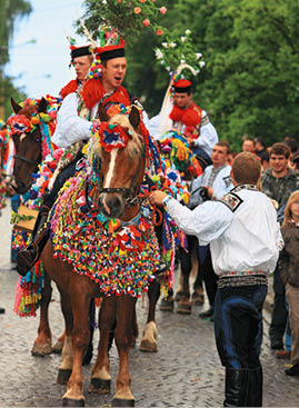 Kniha “Jizni Morava - Libor Svacek" - vydani 1., rok 2011 Photographer: Libor Svacek; box@fotosvacek.cz; Mobile: +420 602428001; 