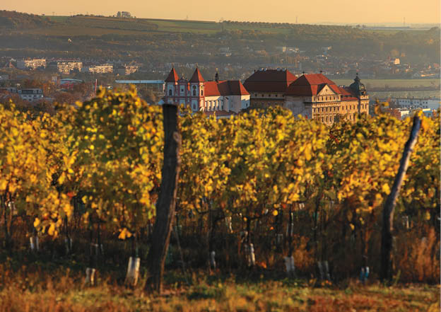 Kniha “Jizni Morava - Libor Svacek" - vydani 1., rok 2011 Photographer: Libor Svacek; box@fotosvacek.cz; Mobile: +420 602428001; 