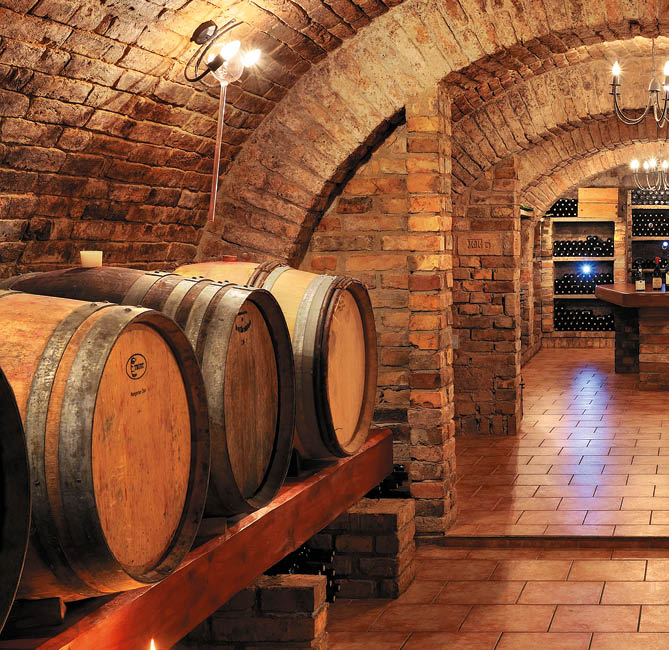 Kniha “Jizni Morava - Libor Svacek" - vydani 1., rok 2011 Photographer: Libor Svacek; box@fotosvacek.cz; Mobile: +420 602428001; 