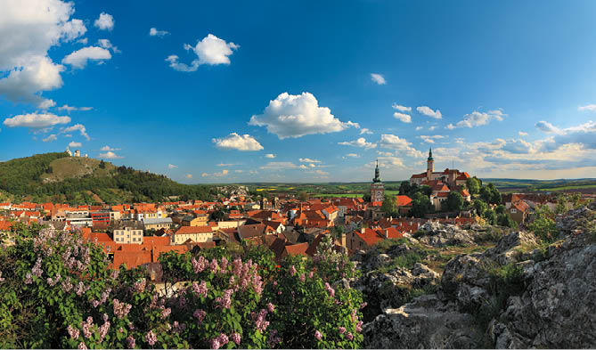 Kniha “Jizni Morava - Libor Svacek" - vydani 1., rok 2011 Photographer: Libor Svacek; box@fotosvacek.cz; Mobile: +420 602428001; 