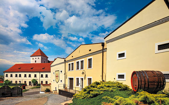 Kniha “MORAVA BEST - Libor Sv ek" - 1. vyd n  2018/2019 Photographer: Libor Svacek; box@fotosvacek.cz; Mobile: +420 602428001; 