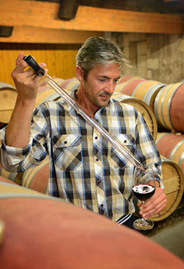 Winemaker getting sample of red wine from barrel
