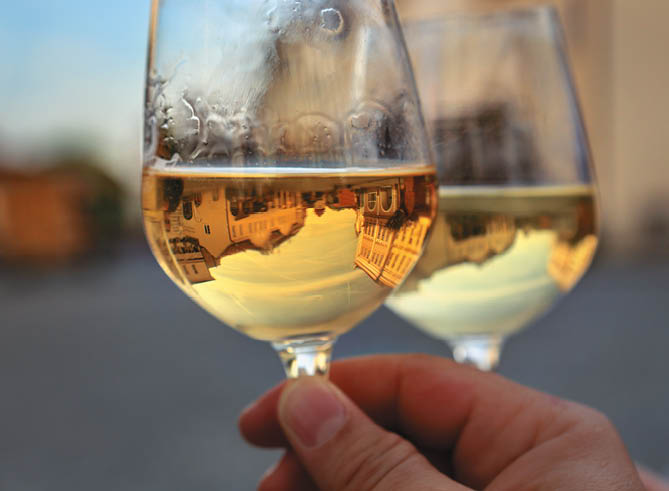 Kniha “MORAVA BEST - Libor Sv ek" - 1. vyd n  2018/2019 Photographer: Libor Svacek; box@fotosvacek.cz; Mobile: +420 602428001; 