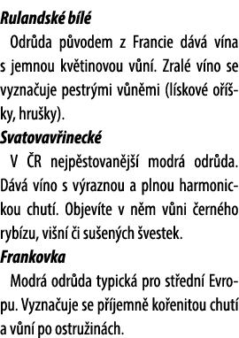 Rulandsk b l  Odr da p vodem z Francie d v  v na s jemnou kv tinovou v n . Zral  v no se vyzna uje pestr mi v n mi (...