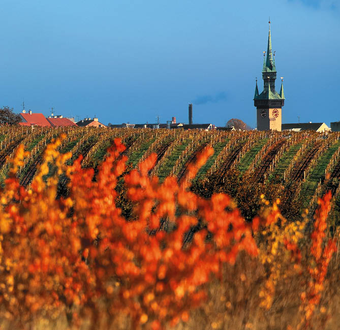 Kniha “Jizni Morava - Libor Svacek" - vydani 1., rok 2011 Photographer: Libor Svacek; box@fotosvacek.cz; Mobile: +420 602428001; 