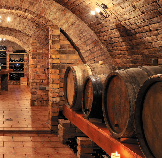 Kniha “Jizni Morava - Libor Svacek" - vydani 1., rok 2011 Photographer: Libor Svacek; box@fotosvacek.cz; Mobile: +420 602428001; 