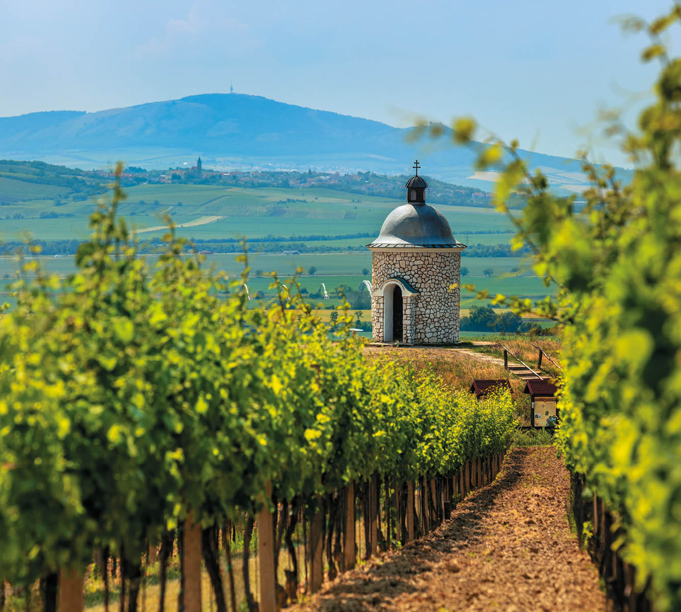 Kniha “MORAVA BEST - Libor Sv ek" - 1. vyd n  2018/2019 Photographer: Libor Svacek; box@fotosvacek.cz; Mobile: +420 602428001; 