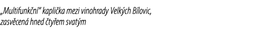 „Multifunk n “ kapli ka mezi vinohrady Velk ch B lovic, zasv cen hned  ty em svat m