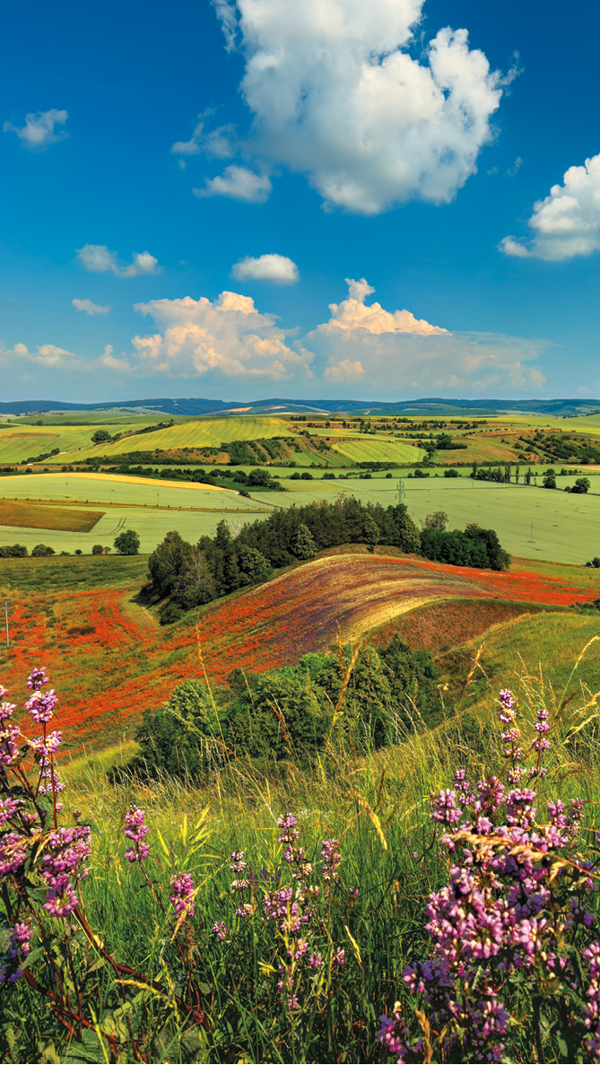 Kniha “MORAVA BEST - Libor Sv ek" - 1. vyd n  2018/2019 Photographer: Libor Svacek; box@fotosvacek.cz; Mobile: +420 602428001; 