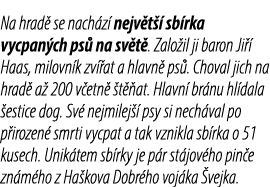 Na hrad se nach z  nejv t   sb rka vycpan ch ps  na sv t . Zalo il ji baron Ji   Haas, milovn k zv  at a hlavn  ps ....