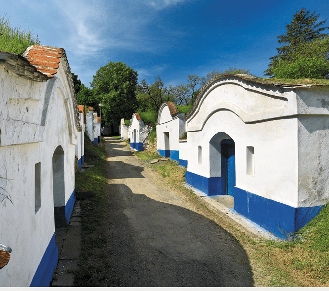 Kniha “Jizni Morava - Libor Svacek" - vydani 1., rok 2011 Photographer: Libor Svacek; box@fotosvacek.cz; Mobile: +420 602428001; 