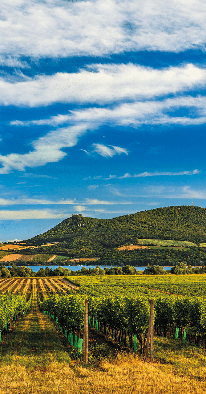 Kniha “MORAVA BEST - Libor Sv ek" - 1. vyd n  2018/2019 Photographer: Libor Svacek; box@fotosvacek.cz; Mobile: +420 602428001; 