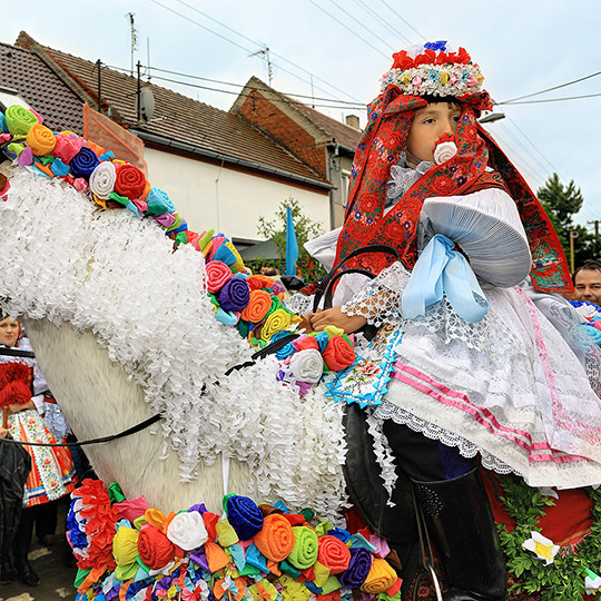 Jízda králů Vlčnov