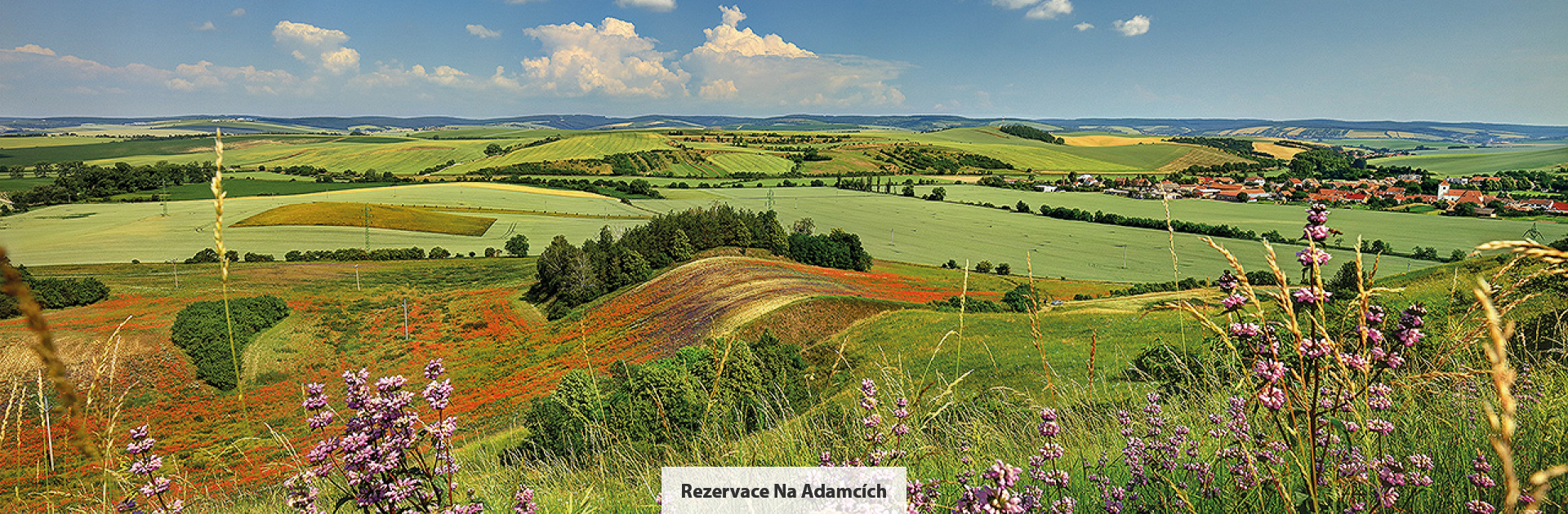 Das Nationale Naturdenkmal Na Adamcích, Bildquelle: Libor Sváček, Archiv Vydavatelství MCU