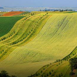 South Moravia